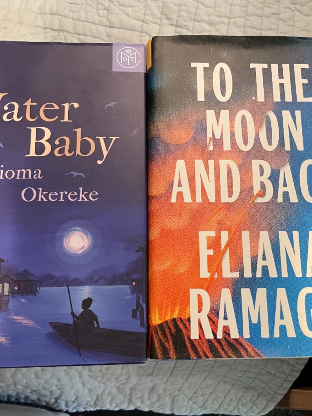 Water Baby AND To The Moon And Back (hardcover novels) BOTM